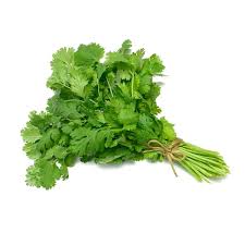 CILANTRO KILO