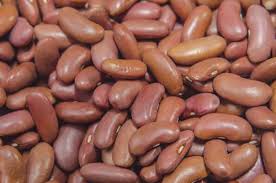 FRIJOL ROJO A GRANEL KILO