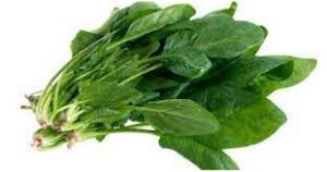 ESPINACA KILO