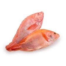 MOJARRA ROJA KILO
