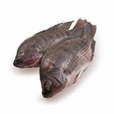 MOJARRA NEGRA KILO