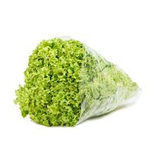 LECHUGA CRESPA UND