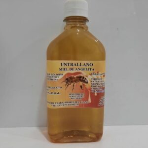 MIEL DE ABEJA DIANA BOTELLA
